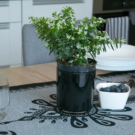 Góralska Ostoja Prywatne Wejście Widok Na Tatry * Zakopane